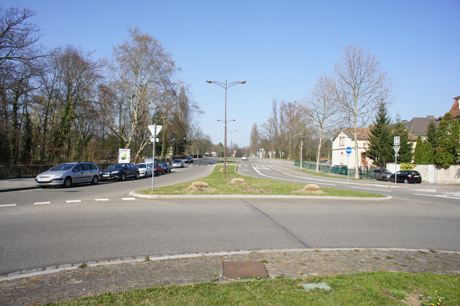 DSC03980.jpg