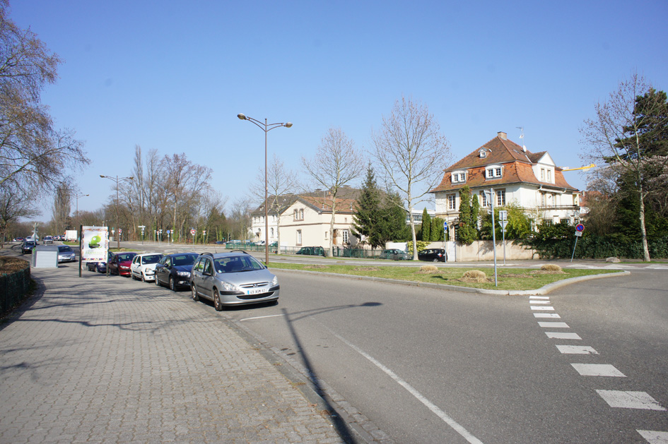 DSC03976.jpg